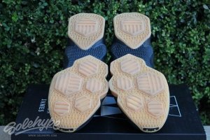 nike-lebron-13-black-lion-13 | Basket Infos