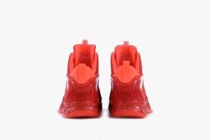 anta_codered_backre | Basket Infos