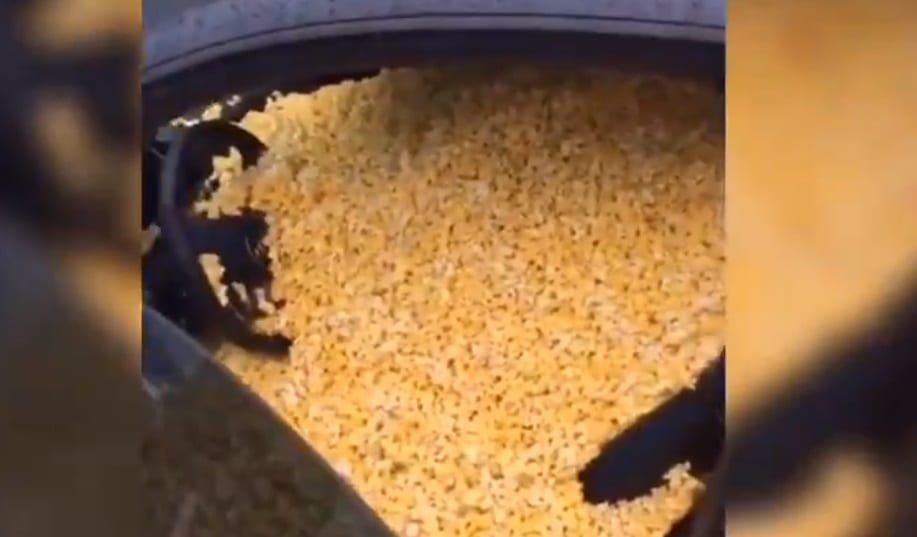 pop-corn | Basket Infos